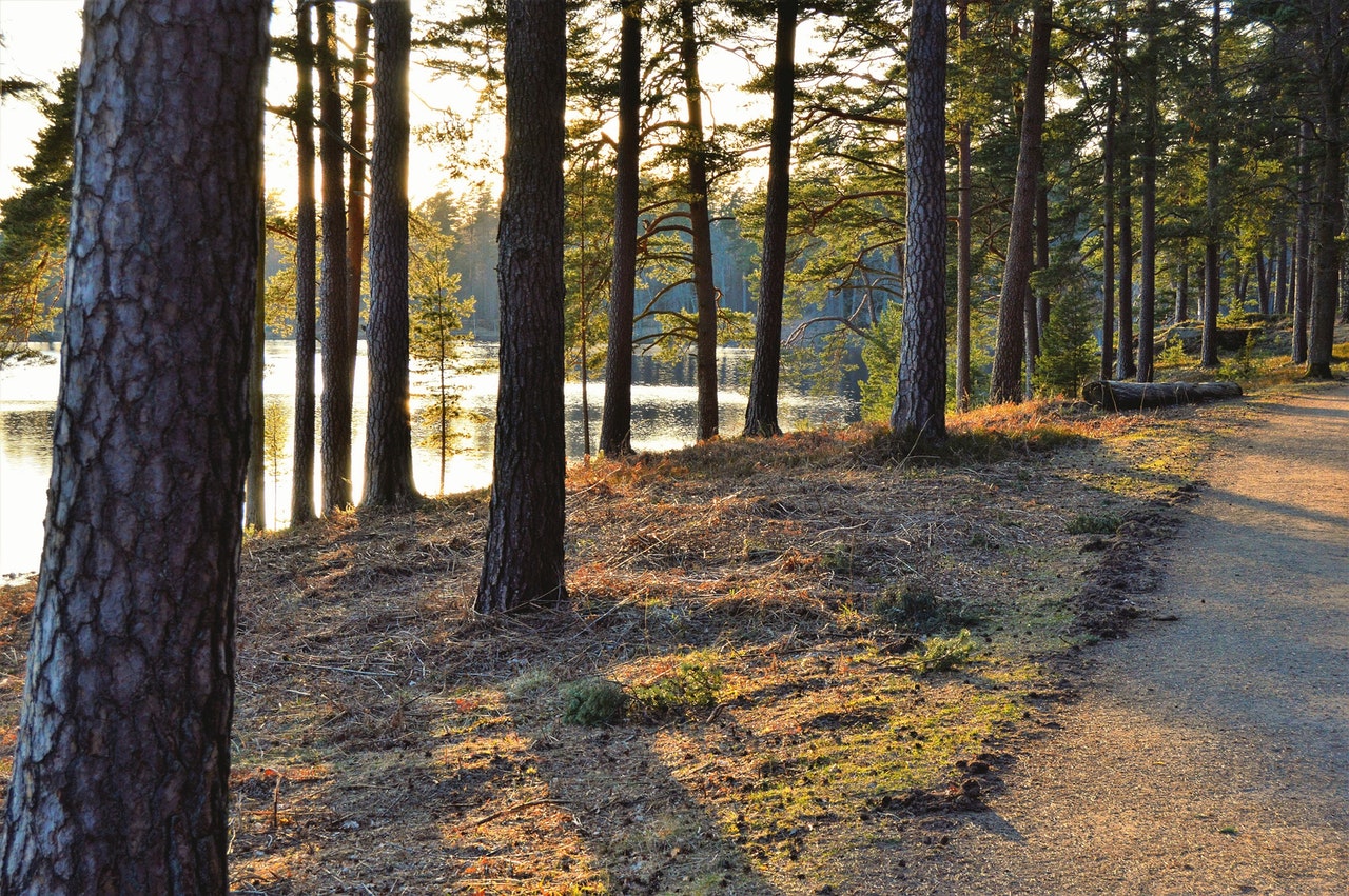 Top 5 der besten Campingplätze in Schweden